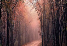 Google suddenly cuts the free version of Gemini, causing an uproar. Is data used for model training 